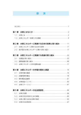 NEDO 水素エネルギー白書 - 新エネルギー・産業技術総合開発機構