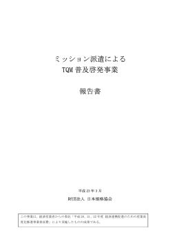 報告書 - 一般財団法人 日本規格協会