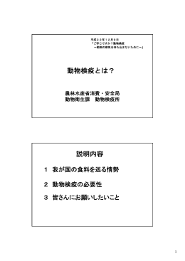 動物検疫とは？ 説明内容