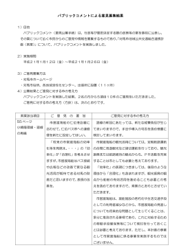 パブリックコメント結果（PDFファイル）