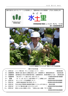 第55号（2010年6月）（PDF：339KB）