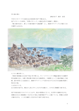 空と海と陸と 2012-11-7 池田 武史 今年のジオパークの全国大会が高知