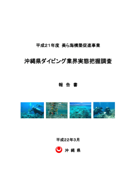 沖縄県ダイビング業界実態把握調査 - 沖縄本島読谷村 ダイビング情報