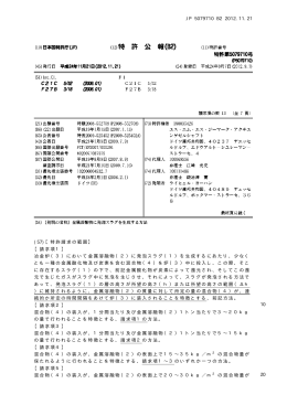 JP 5079710 B2 2012.11.21 10 20 (57)【特許請求の範囲】 【請求項1