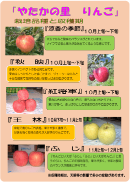 H27やたかの里りんご園パンフレット