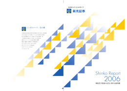 Shinko Report