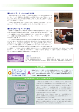 3頁（373KB） - 日本デビットカード推進協議会