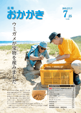 ウミガメが宝 た 物を産みました