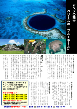 カ リ ブ の 秘 宝 ベ リ ー ズ の 「 ブ ル ー ホ ー ル 」