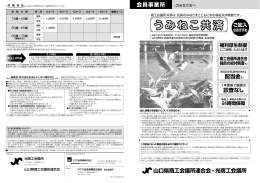 うみねこ うみねこ共済 共済 うみねこ共済