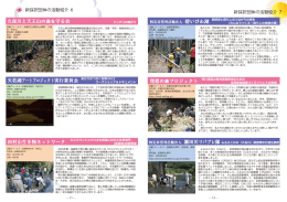 2013夏原グラント報告書P11-P18