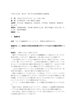 第2回文化財保護審議会議事録（PDF：399KB）
