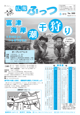 富富 津 海 海 岸
