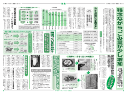 PDF版 [688キロバイト]