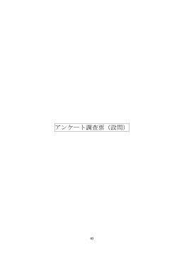 アンケート調査票（設問）