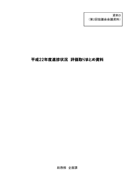 平成22年度進捗状況 評価取りまとめ資料