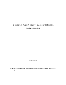 日本側プログレス・レポート 2008-2009