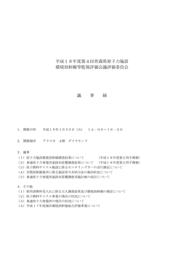 平成18年度 第4回評価委員会議事録