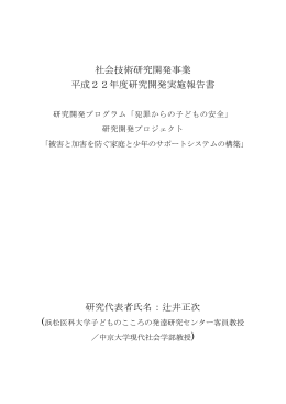 平成22年度研究開発実施報告書