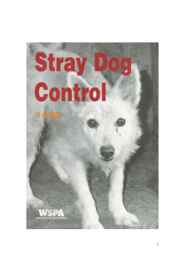 WSPA犬管理プログラム（7.1MB）