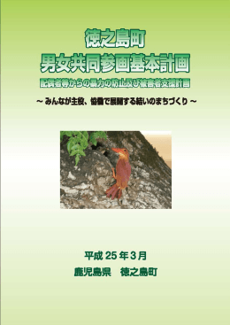 徳之島町男女共同参画基本計画（PDF：1099KB）