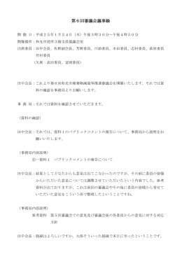 第6回審議会議事録