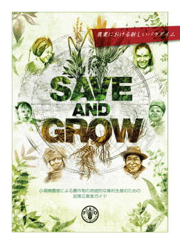 Save and Grow―小規模農家による農作物の持続的な集約生産のため
