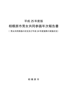 男女共同参画に関する年次報告書 平成24年度報告（PDF