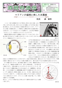 マリアンが盛岡に残した水墨画