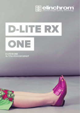 D-LITE RX ONE モノブロックストロボ カタログ