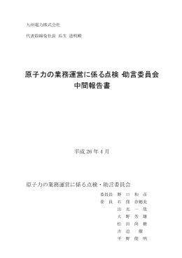 原子力の業務運営に係る点検・助言委員会 中間報告書