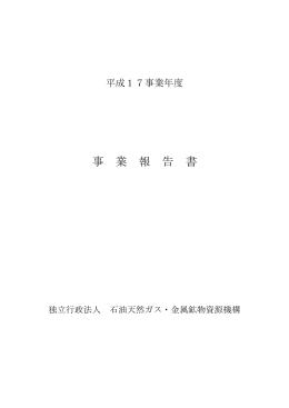 平成17年度 (PDF : 174KB)