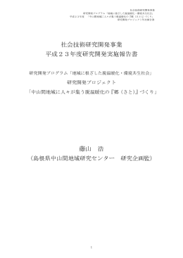 平成23年度研究開発実施報告書