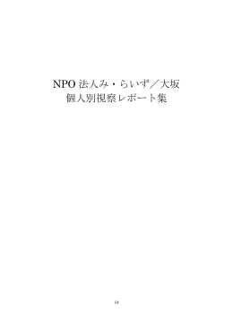 NPO 法人み・らいず／大坂 個人別視察レポート集