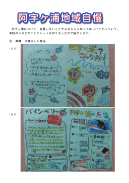 阿字ヶ浦について，自慢したいことやみなさんに知ってほしいことについて