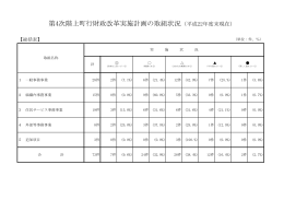平成22年度行財政改革取組状況 [406KB pdfファイル]