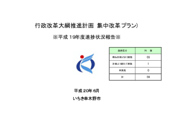 行政改革大綱推進計画（集中改革プラン）