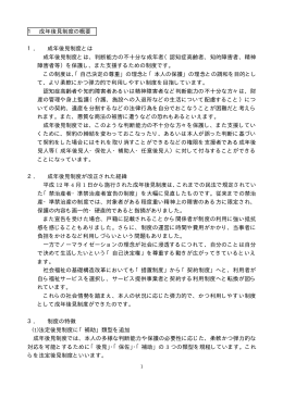 成年後見制度とは 成年後見制度とは