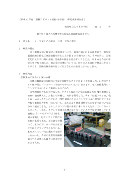 -1- 【平成 20 年度 理科アドバンス講座 研究成果報告書】 美深