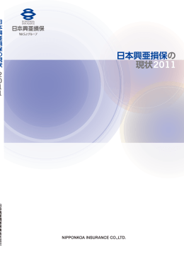 日 本 興 亜 損 保 の 現 状 - 損保ジャパン日本興亜ホールディングス