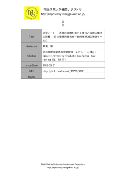 表現の自由をめぐる憲法と国際人権法の距離