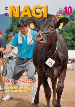 真夏の牛の祭典