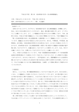 第13回審議会議事録