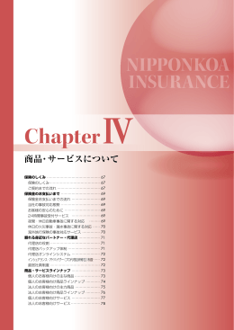 ChapterⅣ - 損保ジャパン日本興亜ホールディングス