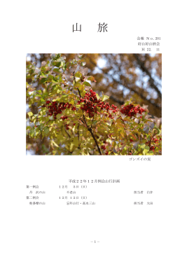 201号 平成22年 11月