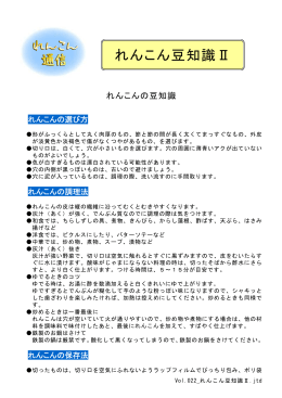 Vol.022 _れんこん豆知識 Ⅱ