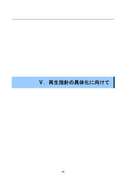Ⅴ．再生指針の具体化に向けて