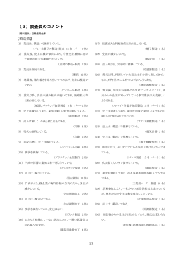 （3）調査員のコメント（PDF：111KB）