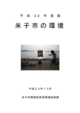 平成22年度版