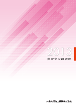共栄火災の現状 2013